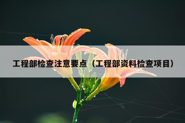 工程部检查注意要点（工程部资料检查项目）