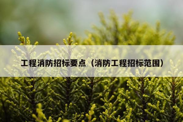 工程消防招标要点（消防工程招标范围）