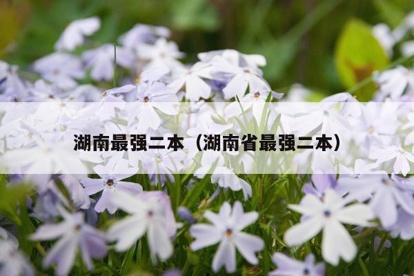 湖南最强二本（湖南省最强二本）