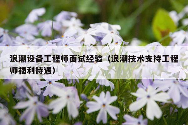 浪潮设备工程师面试经验（浪潮技术支持工程师福利待遇）