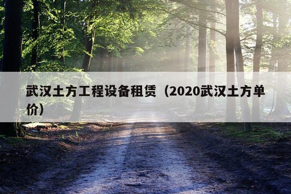 武汉土方工程设备租赁（2020武汉土方单价）