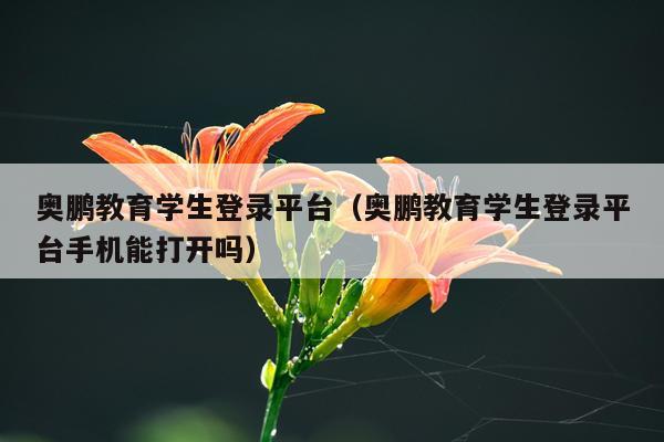 奥鹏教育学生登录平台（奥鹏教育学生登录平台手机能打开吗）
