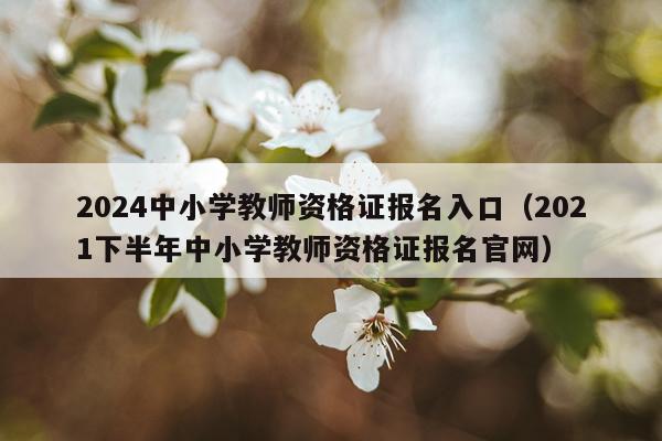 2024中小学教师资格证报名入口（2021下半年中小学教师资格证报名官网）