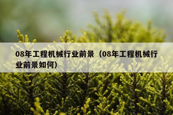 08年工程机械行业前景（08年工程机械行业前景如何）