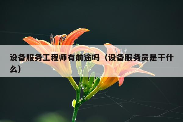 设备服务工程师有前途吗（设备服务员是干什么）