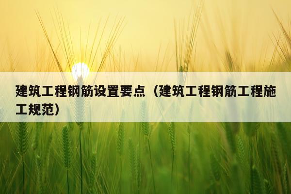 建筑工程钢筋设置要点（建筑工程钢筋工程施工规范）