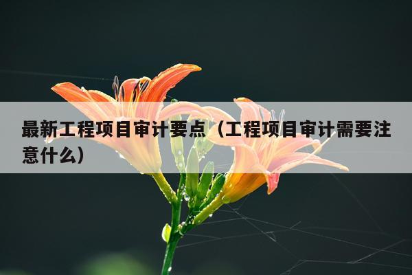 最新工程项目审计要点（工程项目审计需要注意什么）