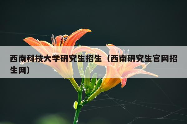 西南科技大学研究生招生（西南研究生官网招生网）