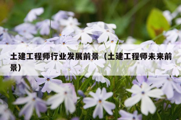 土建工程师行业发展前景（土建工程师未来前景）