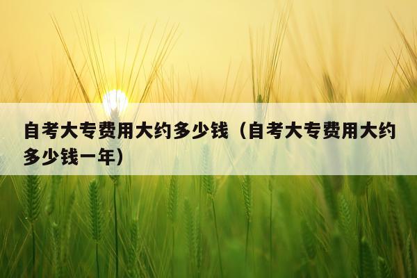 自考大专费用大约多少钱（自考大专费用大约多少钱一年）