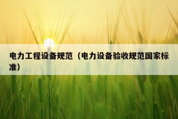 电力工程设备规范（电力设备验收规范国家标准）