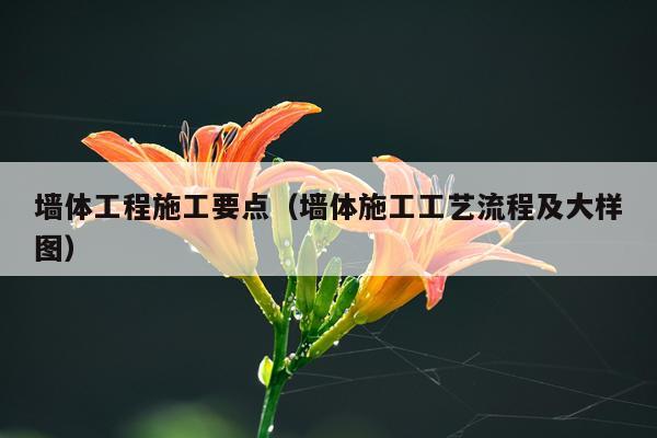 墙体工程施工要点（墙体施工工艺流程及大样图）