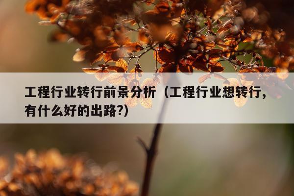 工程行业转行前景分析（工程行业想转行, 有什么好的出路?）