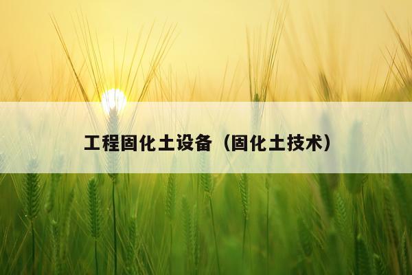工程固化土设备（固化土技术）