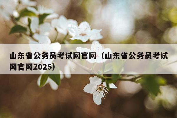 山东省公务员考试网官网（山东省公务员考试网官网2025）