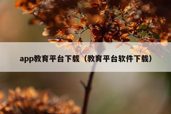 app教育平台下载（教育平台软件下载）