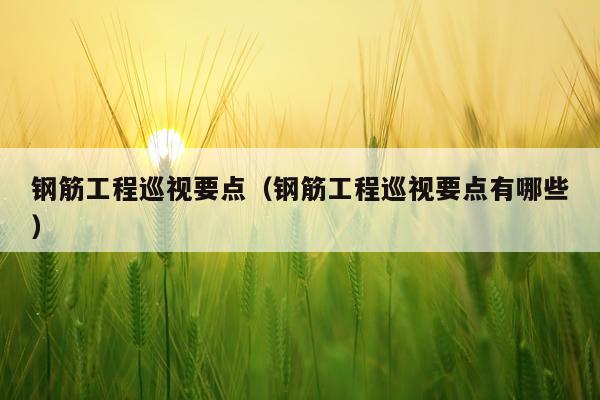 钢筋工程巡视要点（钢筋工程巡视要点有哪些）
