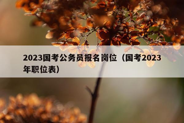 2023国考公务员报名岗位（国考2023年职位表）