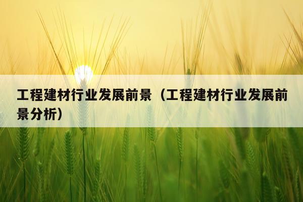 工程建材行业发展前景（工程建材行业发展前景分析）