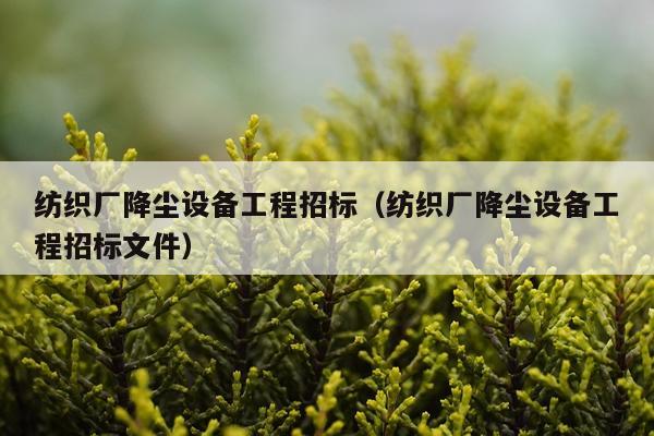 纺织厂降尘设备工程招标（纺织厂降尘设备工程招标文件）