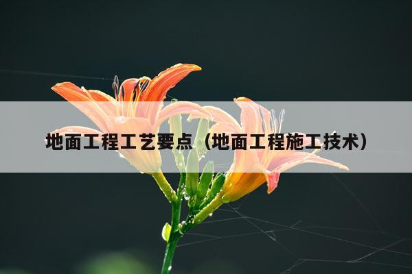 地面工程工艺要点（地面工程施工技术）