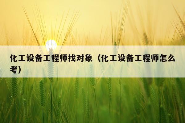 化工设备工程师找对象（化工设备工程师怎么考）