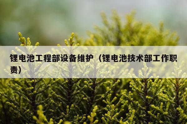 锂电池工程部设备维护（锂电池技术部工作职责）