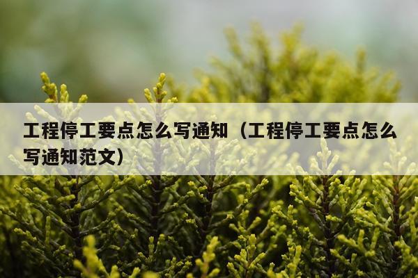 工程停工要点怎么写通知（工程停工要点怎么写通知范文）