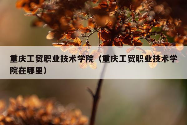 重庆工贸职业技术学院（重庆工贸职业技术学院在哪里）