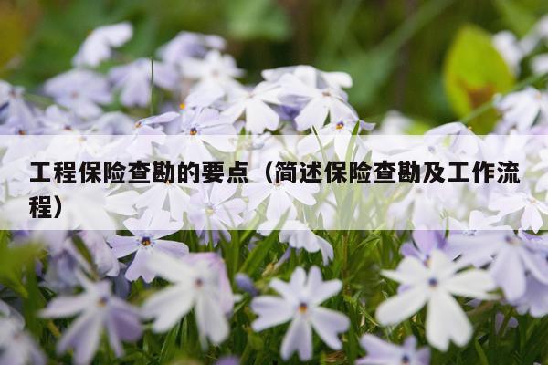 工程保险查勘的要点（简述保险查勘及工作流程）