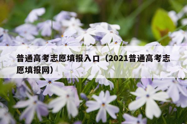 普通高考志愿填报入口(2021普通高考志愿填报网)