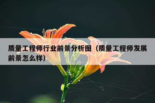 质量工程师行业前景分析图（质量工程师发展前景怎么样）