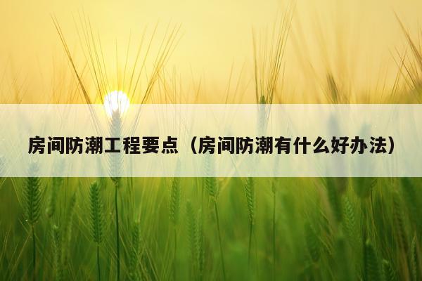 房间防潮工程要点（房间防潮有什么好办法）