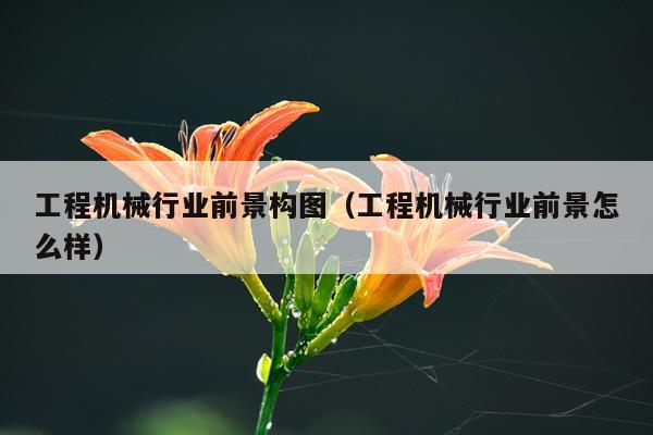 工程机械行业前景构图（工程机械行业前景怎么样）