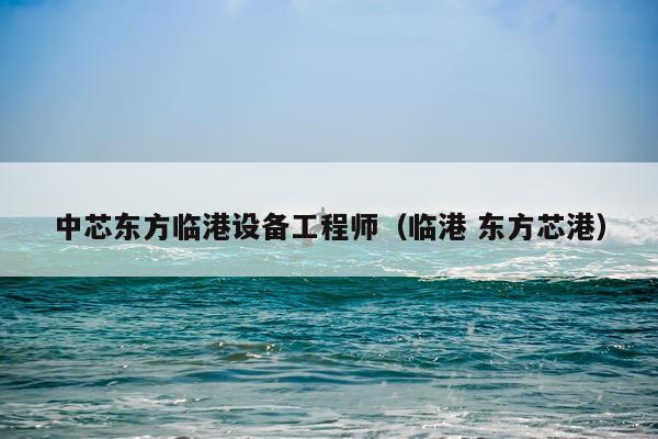 中芯东方临港设备工程师（临港 东方芯港）