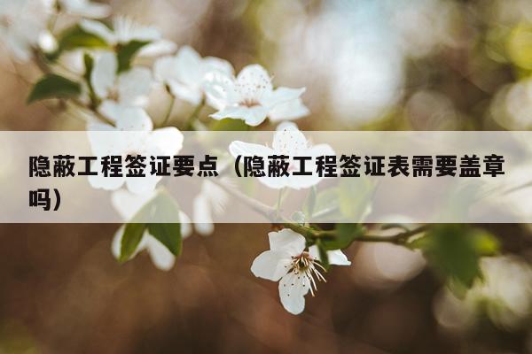 隐蔽工程签证要点（隐蔽工程签证表需要盖章吗）