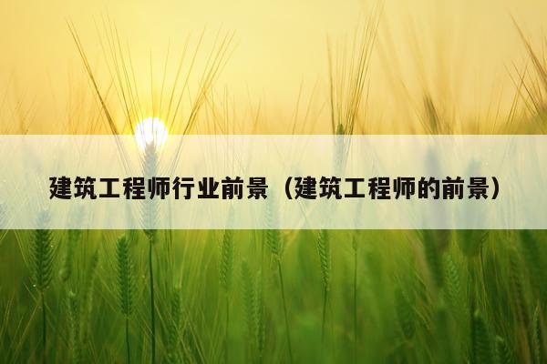 建筑工程师行业前景（建筑工程师的前景）
