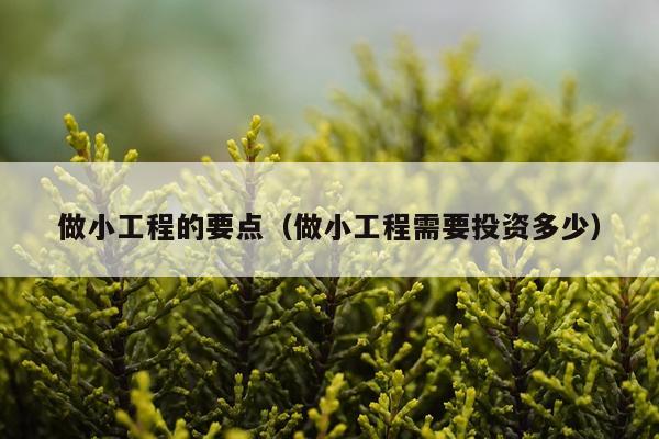 做小工程的要点（做小工程需要投资多少）