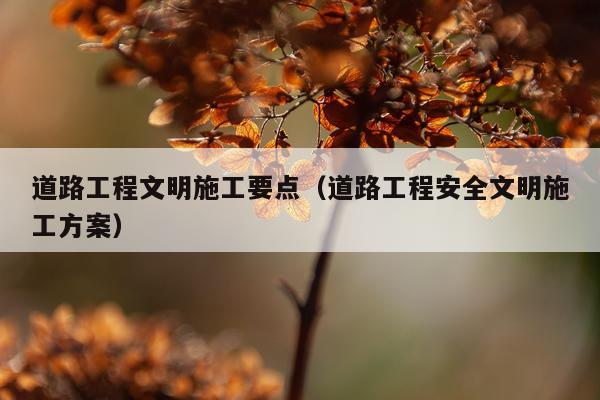 道路工程文明施工要点（道路工程安全文明施工方案）