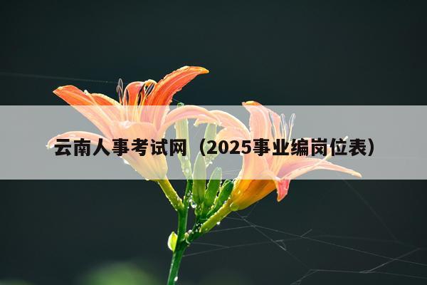 云南人事考试网（2025事业编岗位表）