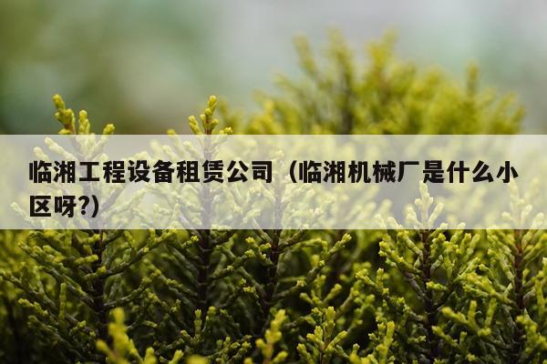 临湘工程设备租赁公司（临湘机械厂是什么小区呀?）