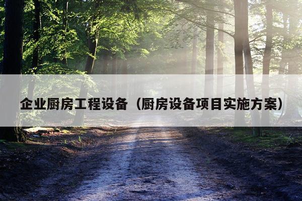 企业厨房工程设备（厨房设备项目实施方案）
