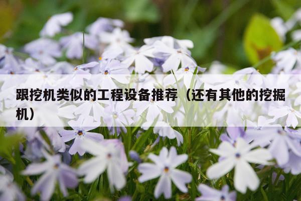 跟挖机类似的工程设备推荐（还有其他的挖掘机）