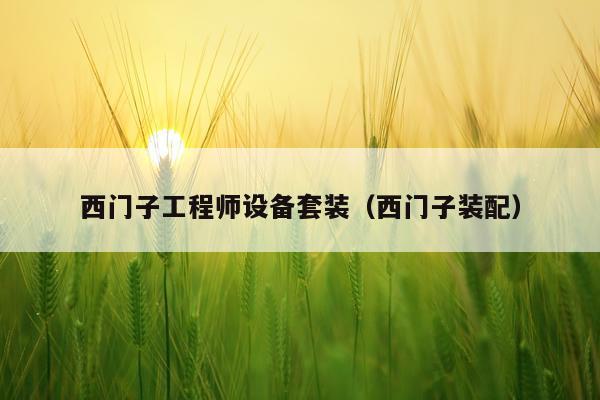 西门子工程师设备套装（西门子装配）