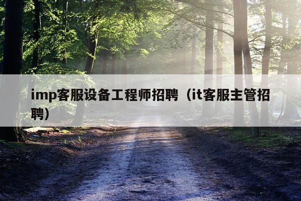 imp客服设备工程师招聘（it客服主管招聘）