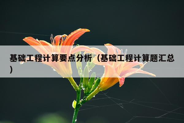 基础工程计算要点分析（基础工程计算题汇总）
