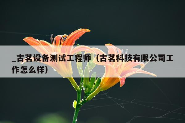 _古茗设备测试工程师(古茗科技有限公司工作怎么样)