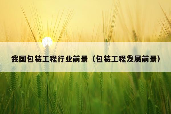 我国包装工程行业前景（包装工程发展前景）