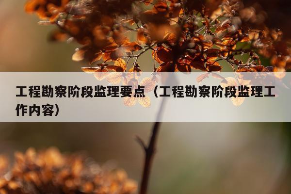 工程勘察阶段监理要点（工程勘察阶段监理工作内容）