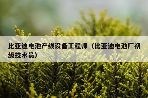 比亚迪电池产线设备工程师（比亚迪电池厂初级技术员）